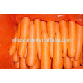 Chinese fresh carrot price